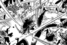 Lire le Manga One Piece Chapitre 1162 VF FR Scan, Les renforts sont arrivés et ont fini de travailler ensemble