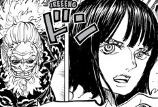 Lire Manga One Piece Chapitre 1148 Scan VF FR, Robin fait encore des bêtises